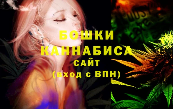 Альфа ПВП Грязовец