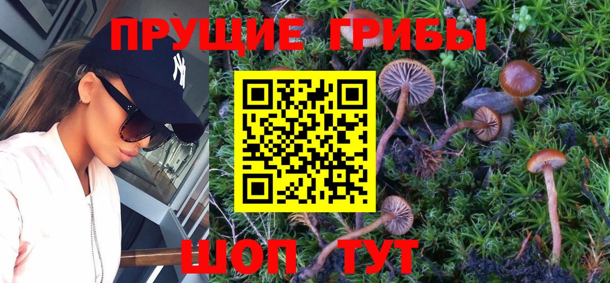 Галлюциногенные грибы Magic Shrooms  Галлюциногенные грибы прущие грибы  Костомукша  Вход с VPN 