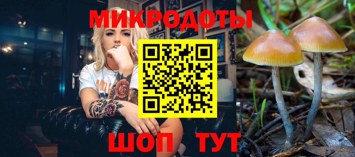Галлюциногенные грибы Psilocybine cubensis Костомукша