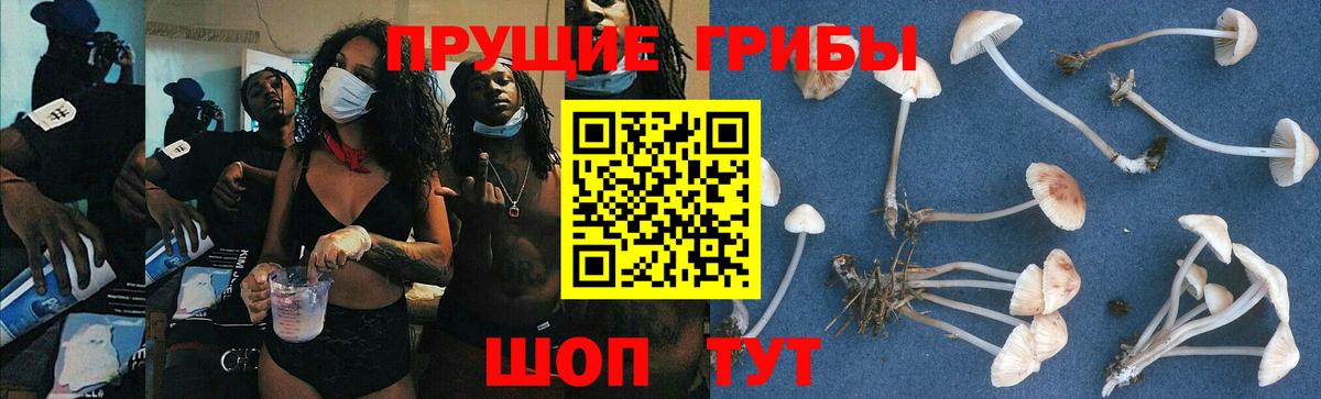 Псилоцибиновые грибы Костомукша